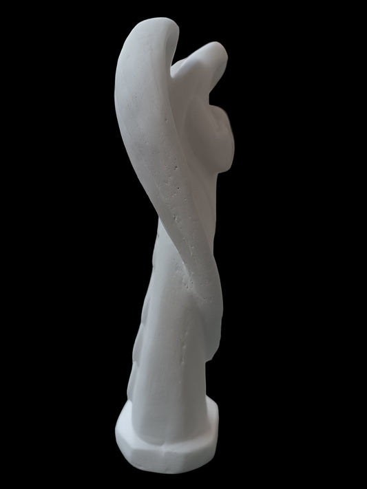 Angel sin rostro mediano