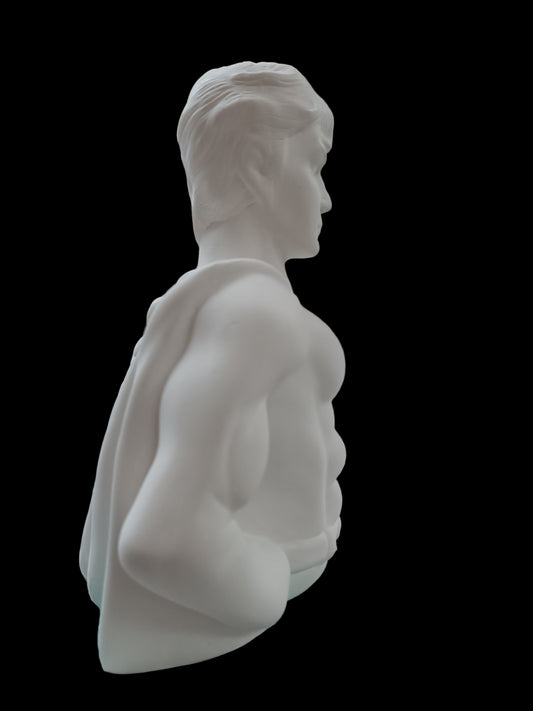 BUSTO SUPERMAN